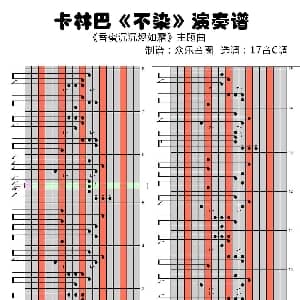 不染 拇指琴卡林巴琴演奏谱 海雷 简弘亦