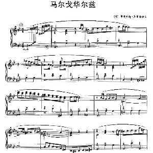 手风琴谱 | 马尔戈华尔兹 法 加利亚诺 Richard Galliano