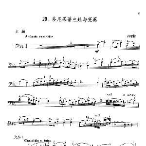 多尼采蒂主题与变奏 大提琴 丹克拉