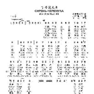 丁香花儿开СИРЕНЬ ЧЕРЕМУХА_歌曲简谱_词曲:阿 索甫罗诺夫 尤 米 留 金
