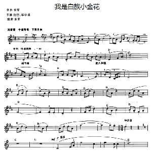 电子琴谱 | 我是白族小金花