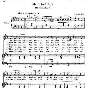 我的甜心 Mein Geliebter_外国歌谱_词曲: 弗雷德里克 肖邦 Frederic Chopin
