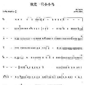 笛子谱 | 我是一只小小鸟 李宗盛