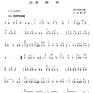 二胡谱 | 北极光 王国潼编曲