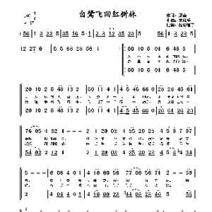 白鹭飞回红树林_歌谱投稿_词曲:郑南 龙伟华