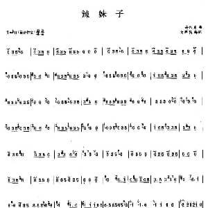 笛子谱 | 辣妹子