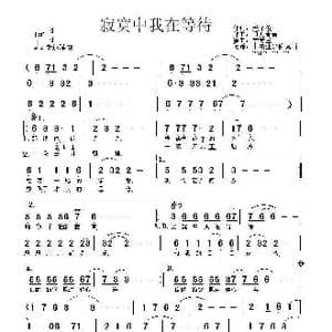寂寞中我在等待_歌曲简谱_词曲:天子俊 月儿青青
