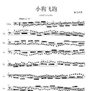 小狗飞跑_歌谱投稿_词曲: 杨会林作曲