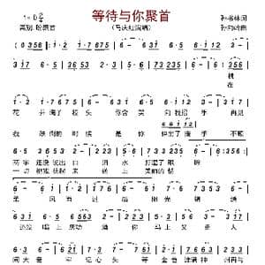 等待与你聚首_歌曲简谱_词曲:孙书林 孙向岭