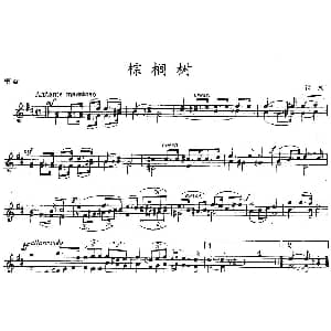 小提琴谱 | 棕榈树 重奏