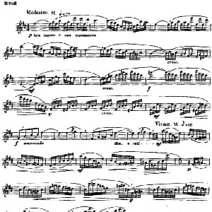 长笛曲谱 | 长笛练习曲100课之第95课 速度与拍子变化练习曲