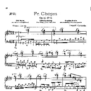 53首以肖邦练习曲为素材而作的练习曲 钢琴谱 里奥鲍尔德 戈多夫斯基