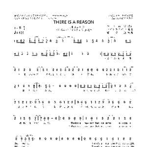 日 THERE IS A REASON_歌曲简谱_词曲:岩里祐穗 ヒゲドライバー