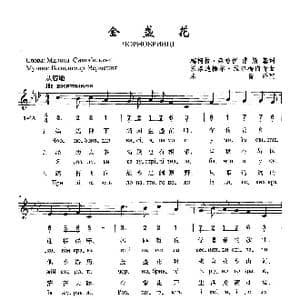 金盏花_歌曲简谱