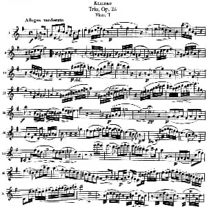 长笛曲谱 | 库默长笛三重奏Op.24 Flute 2 Kummer 库默