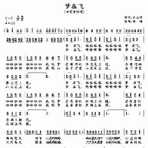 梦在飞_美声唱法乐谱_词曲:肖正民 奇峰