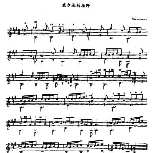 威尔逊的原野 吉他谱