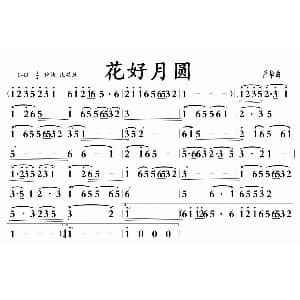 花好月圆 广东音乐 严华