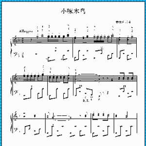 小啄木鸟_歌曲简谱_词曲: 意大利乐曲