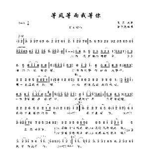 等风等雨我等你_歌曲简谱_词曲:王天龙 音乐走廊