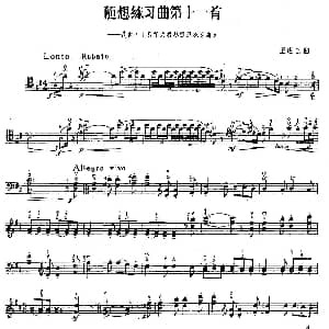 随想练习曲第十一首 大提琴 王连四