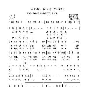 我的城,我来守_歌曲简谱_词曲:段路晨 戴益民