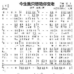 今生我只想陪你变老_歌曲简谱_词曲:梁帅 宋亚永