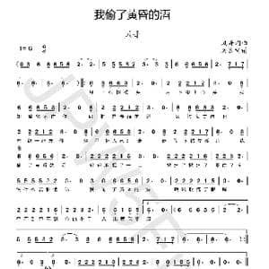 我偷了黄昏的酒_歌曲简谱_词曲:风哥 风哥