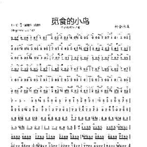 觅食的小鸟_歌谱投稿_词曲: 杨会林曲