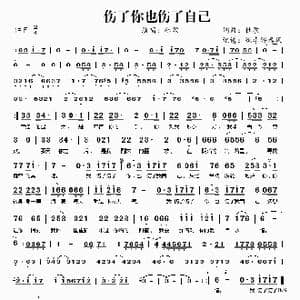 伤了你也伤了自己_歌谱投稿_词曲:杜歌 杜歌