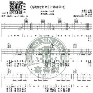 怒放的生命 吉他谱C调精华版 高音教编配 猴哥吉他教学_歌谱投稿