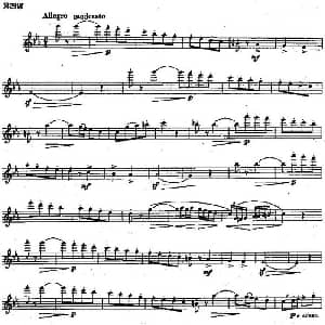 长笛曲谱 | 长笛练习曲100课之第29课 c小调的练习曲