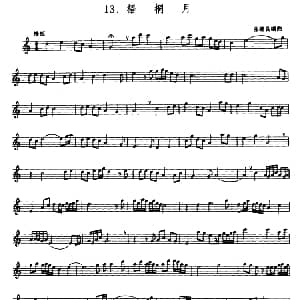 梧桐月 箫 五线谱 张维良编曲