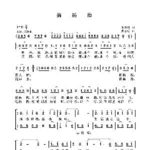 摘杨梅_歌曲简谱_词曲:毛诗奇 聂思聪
