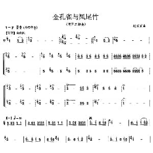 葫芦丝谱 | 金孔雀与凤尾竹 改良双管葫芦丝演奏谱 赵家寅