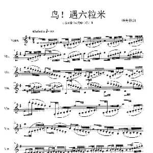 鸟！遇六粒米_歌曲简谱_词曲: 杨会林曲