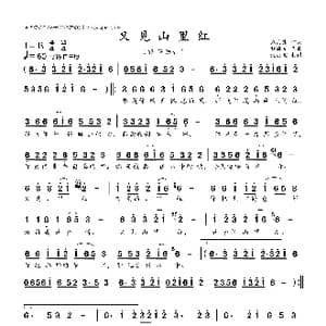 又见山里红_歌曲简谱_词曲:刘海东 刘海东