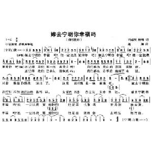 嫁去宁明你幸福吗_通俗唱法乐谱_词曲:刘起发 林海 林海