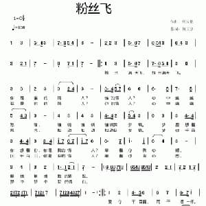 粉丝飞_通俗唱法乐谱_词曲:何玉泉 何玉泉