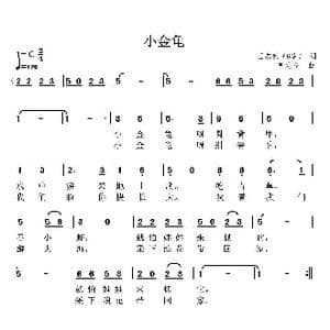 小金龟_歌曲简谱_词曲:王志然 韦龙冬