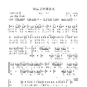 相濡以沫到白头_歌曲简谱_词曲:文学 小明 刘文杰