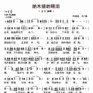 纳木错的眼泪_歌曲简谱_词曲:刘海东 刘海东