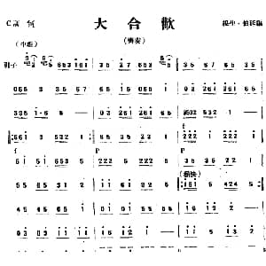 大合欢 民乐齐奏 打击乐 根生 伯廷编曲