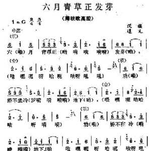 六月青草正发芽_民歌简谱