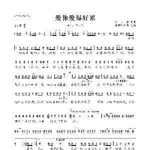 ​爱你爱得好累_歌曲简谱_词曲:王小荣 王小荣