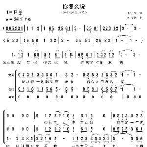 你怎么说_歌曲简谱_词曲:上官月 司马亮