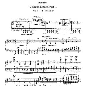12 Grand Etudes S.137 钢琴谱 弗兰茨 李斯特