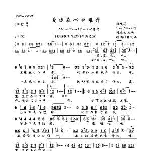 爱你在心口难开_歌曲简谱_词曲:依风 Jerry Allison