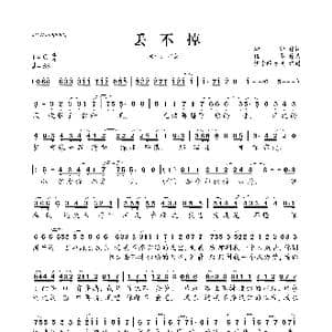 丢不掉_歌曲简谱_词曲:耕耕 伍华