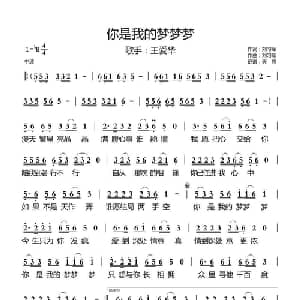 你是我的梦梦梦_通俗唱法乐谱_词曲:刘习军 刘习军